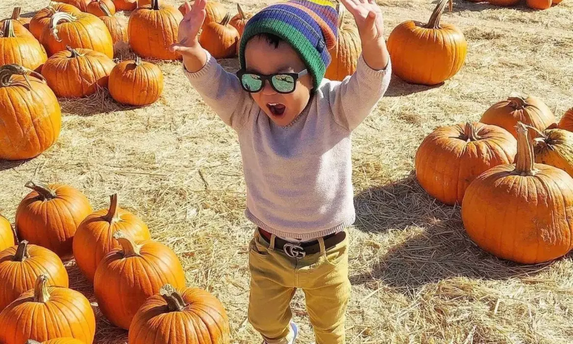 Enjoy Fall Traditions w/ Entry for Adults & Kids to Speer Family Farm