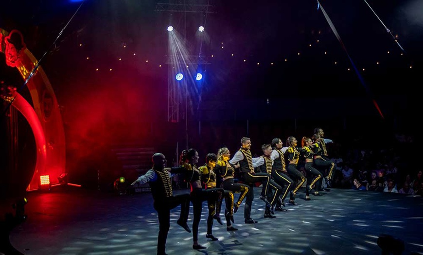 Image 2: Entrada oro o plata para niño o adulto al espectáculo "Viva el circo"