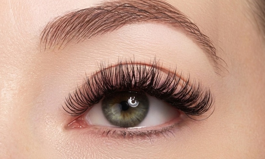 Image 2: Classic Extensions or Eyelash with 3D or 6D Volumes