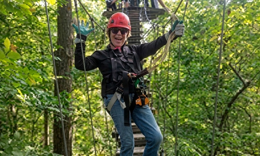 Image 3: Zipline Canopy Tours for Groups