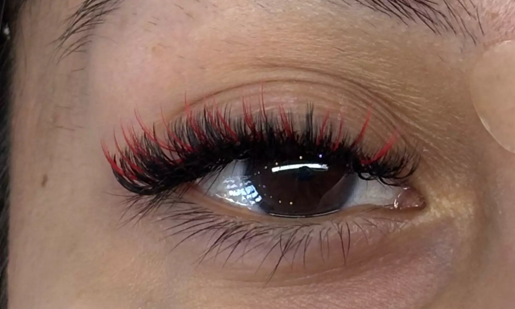 Hybrid, Volume or Mega Volume Full Lash Extension Sets