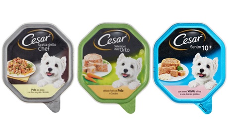 Fino a 28 confezioni di CESAR SCELTA CHEF o SENIOR 10+ in vari gusti