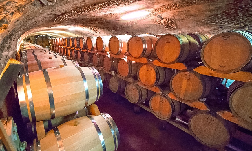 Image 2: Visite œnologique aux Vignobles de Rombeau