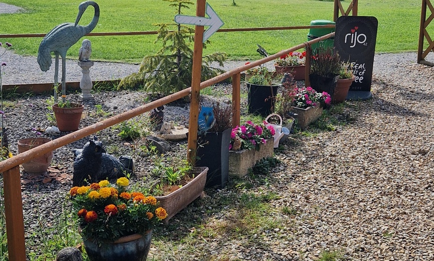 Image 5: Up to 62% Off on Zoo / Animal Park at Wild Wings Birds Of Prey