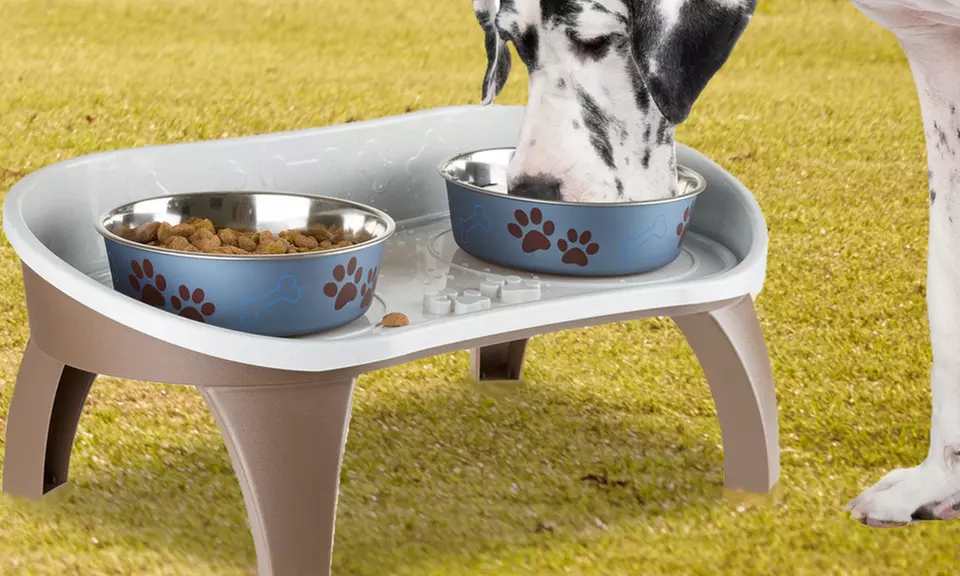 Elevated Pet Feeding Tray with Splash Guard and Non-Skid Feet by PETMAKER