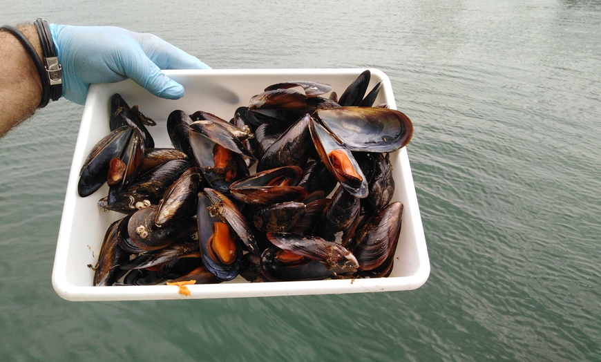Image 8: Ruta del mejillón con degustación en catamarán para niño o adulto