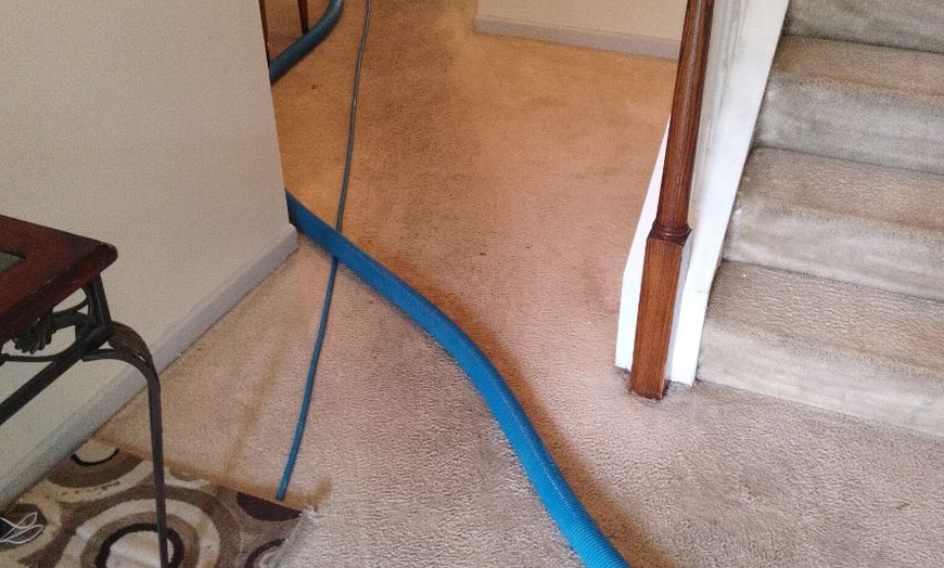 Image 11: Steam Cleaning for 3, 4, 5, 6, or 7 Rooms, One Hallway, Closets & More