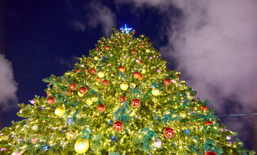 Image 4: Jingle at JW Experience Pass – Holiday Fun in Phoenix