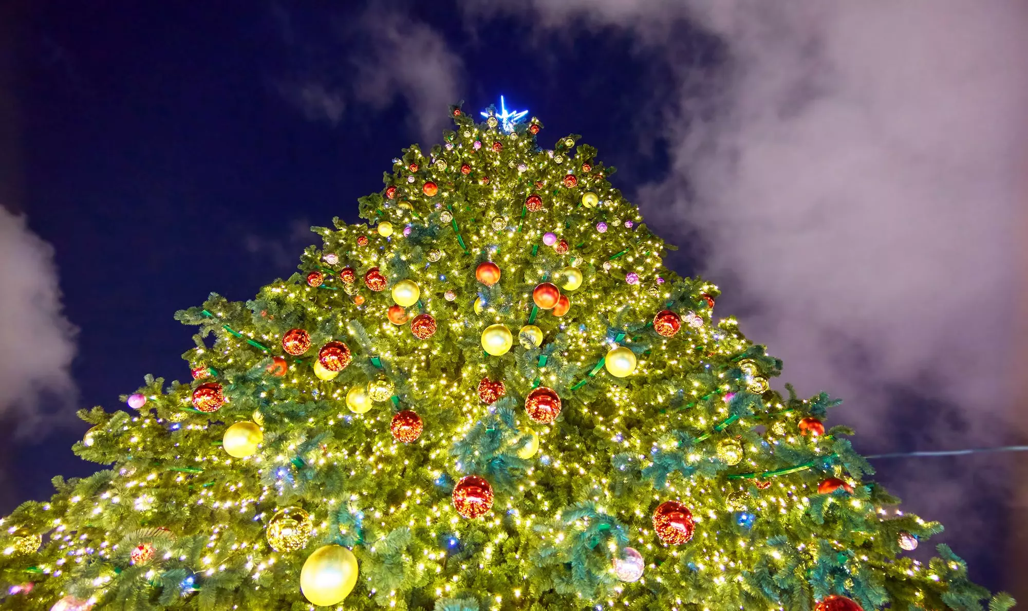 Jingle at JW Experience Pass – Holiday Fun in Phoenix