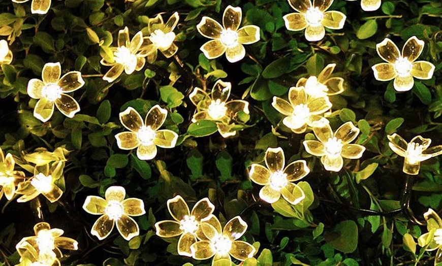 Image 11: 1 ou 2 guirlandes lumineuses à énergie solaire en forme de fleurs