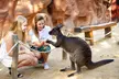 Discover Wildlife Wonders with General Admission for all Ages at Wild Life Sydney, Up To 20% Off - Image 5