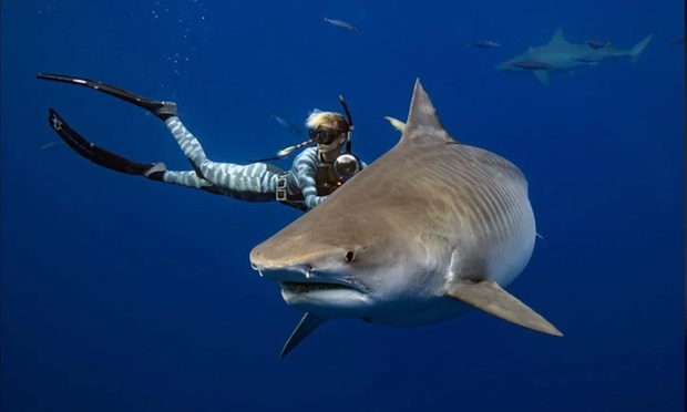 What to expect media