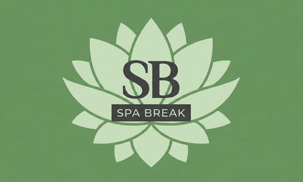 One Full Bikini Wax - SB Spa Break
