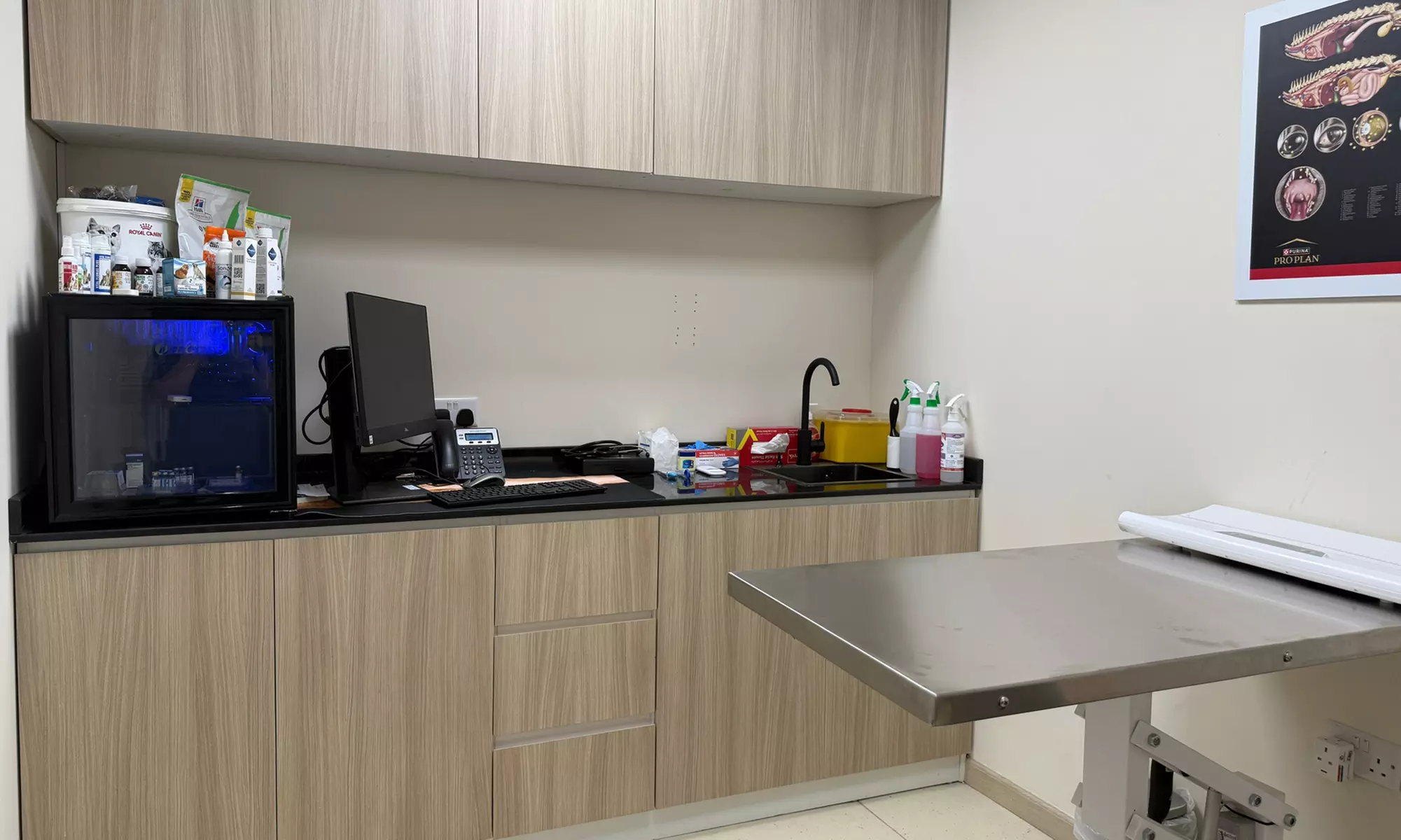 Check-Up, Vaccination, Deworming or Grooming for Cats & Dogs