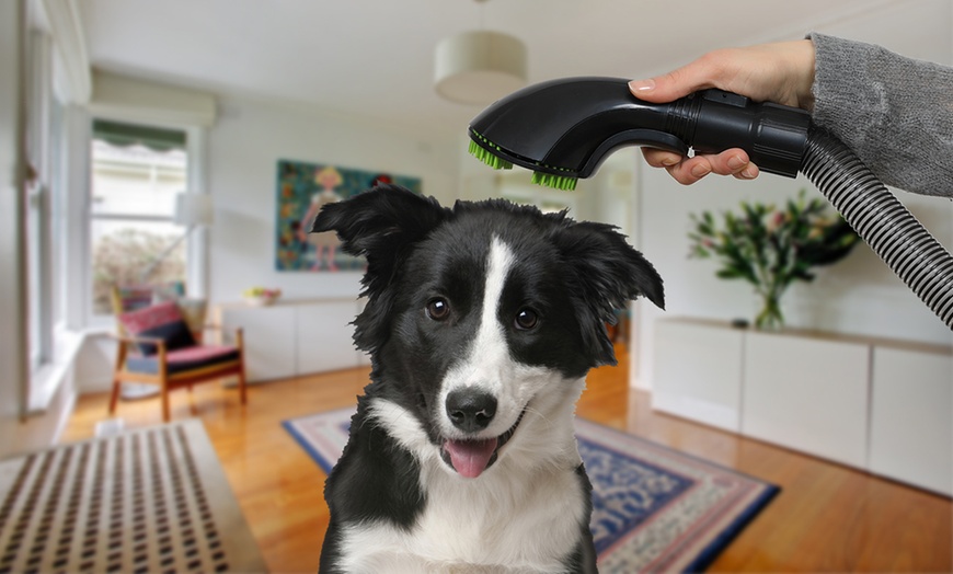 Image 13:  Draadloze stofzuiger Turbo Silence + kit Dierenverzorging