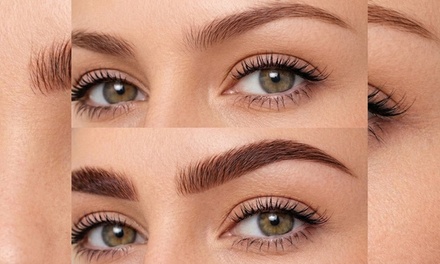 One Eyebrow lamination & Tinting Session ; Merchant may collect additional fees - Dr Browz