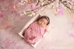 Luxury Newborn Photography Experience w/ Bespoke Styling, Gentle Posing & Stunning Edited Images (Up to 40% Off) - Image 3