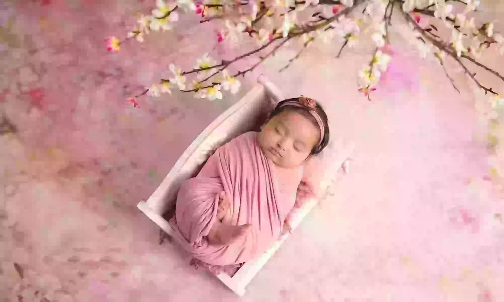 Luxury Newborn Photography with Bespoke Styling & Edited Images