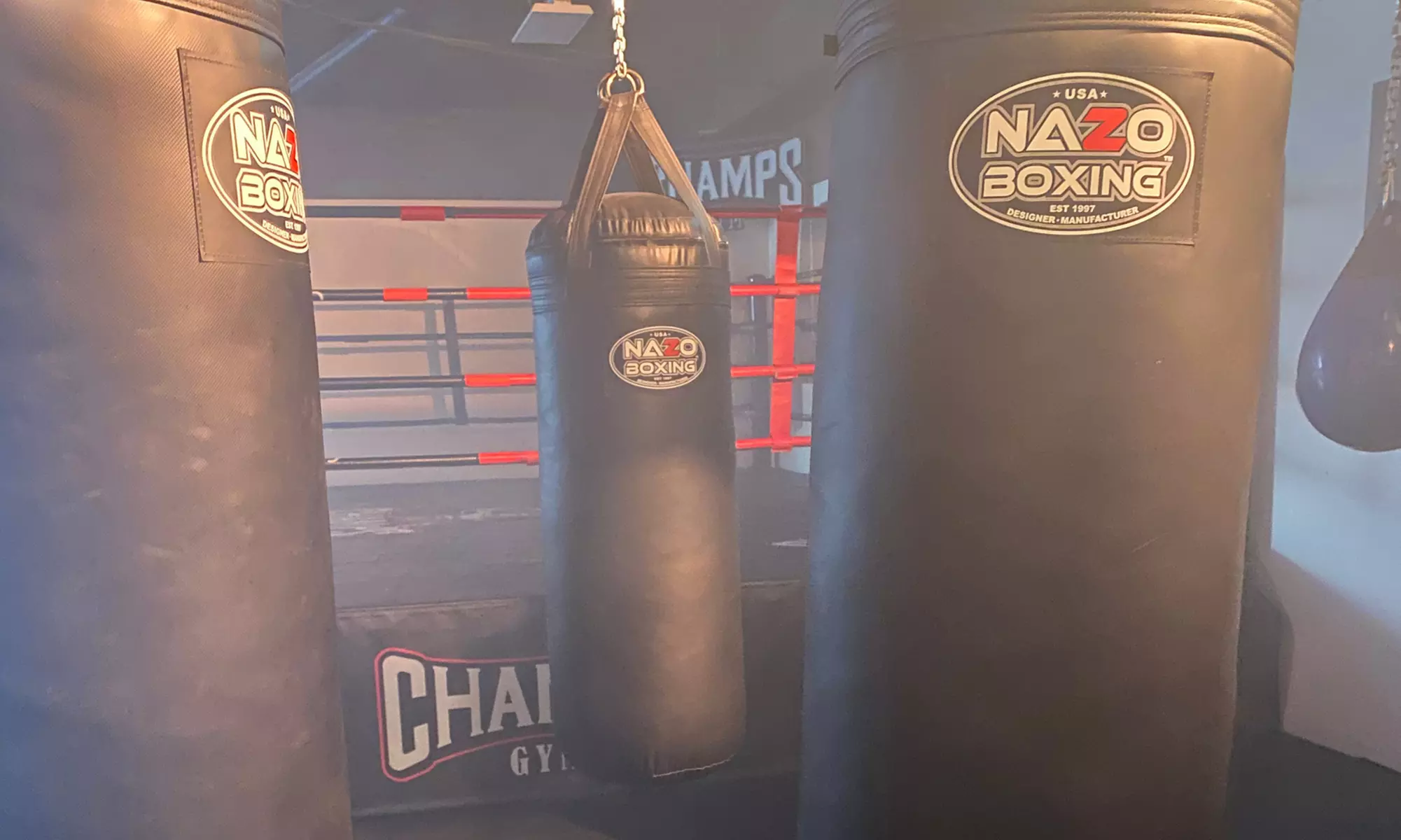 Train like a champ with boxing classes and included gloves 
