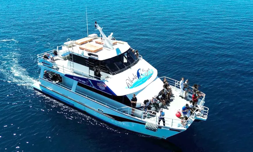 Image 8: Whale Watching Cruise at Augusta / Busselton / Dunsborough