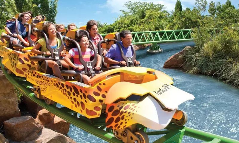 Save 62% on Busch Gardens Tampa Tickets, Fun Cards & Meals!
