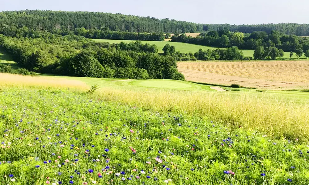 2x18 Loch Ganztages Greenfee, opt. inkl. 2 Übernachtungen 2-4 Personen