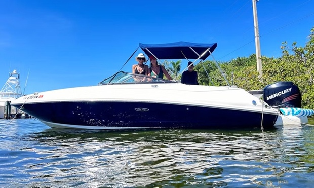 What to expect media