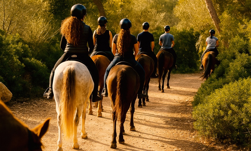 Image 4: Paseo a caballo de 1 hora por Finestrat para 1, 2 o 4 personas