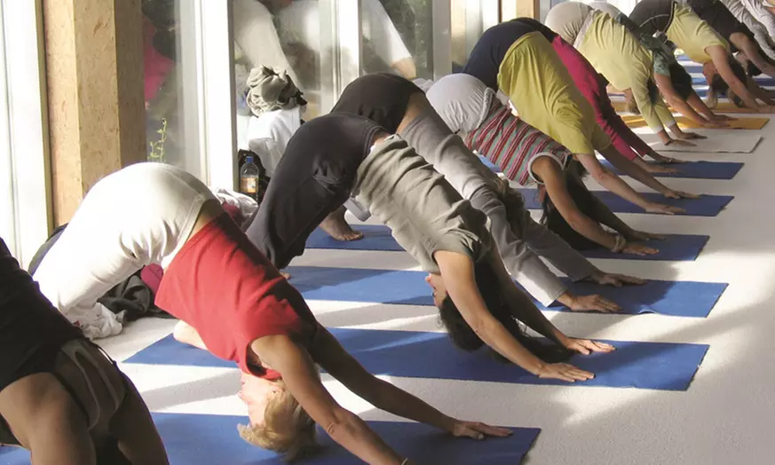 Yoga-Retreat im Teutoburger Wald: 3 Tage mit Yoga, Meditation und Vollwertverpflegung bei Yoga Vidya - Primary Image