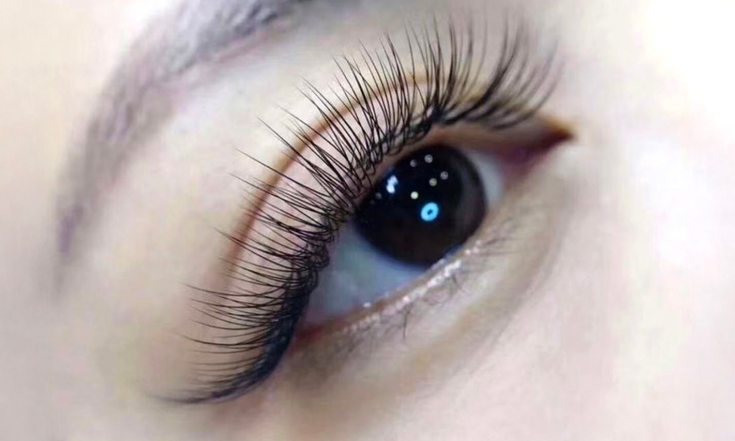 Classic / 2D Mink Lashes + Refill, Eyelash Perm or Bottom Eyelash
