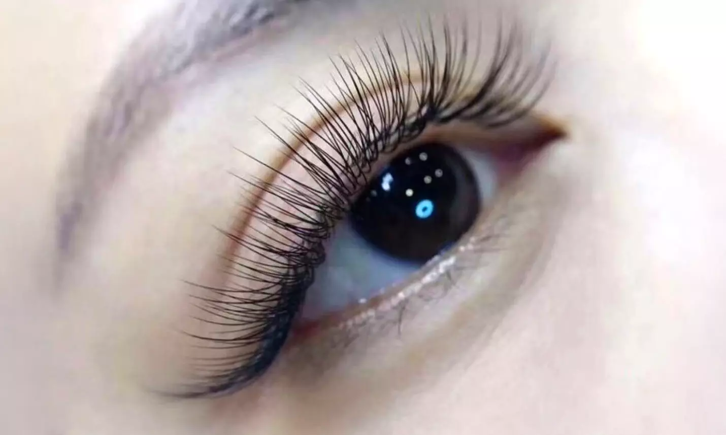 Lash Haus Offers One Set of Classic / 2D Mink Lashes + Refill, Eyelash Perm or Bottom Eyelash (Up to 55% Off) - Primary Image