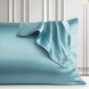Image 1: Mulberry Silk Beauty Pillowcase Duo