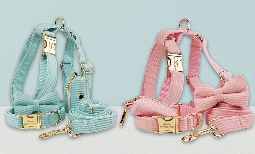 Image 12: Personalisierbares Haustier-Halsband mit integriertem Namensschild