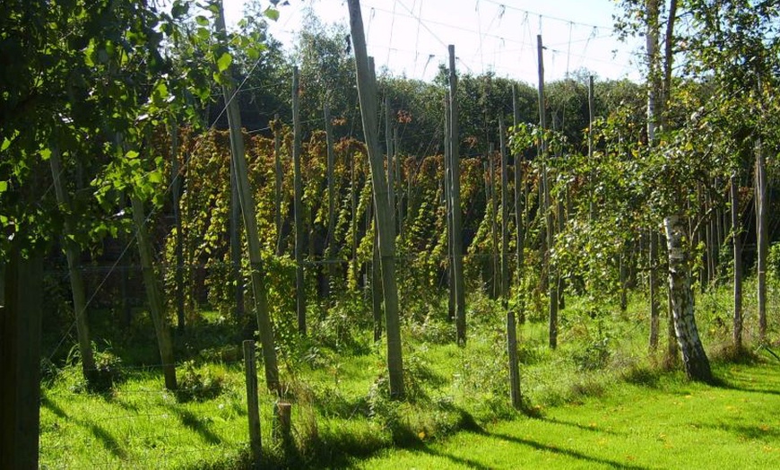 Image 6: Up to 36% Off Hops ‘n’ Harvest Festival at Kent Life – Sept 13–14!