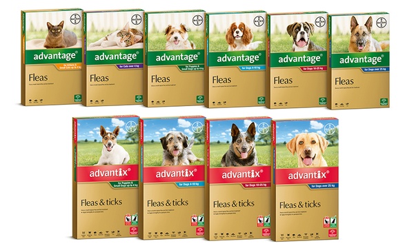 Advantix Advantage for Dog Cat Groupon