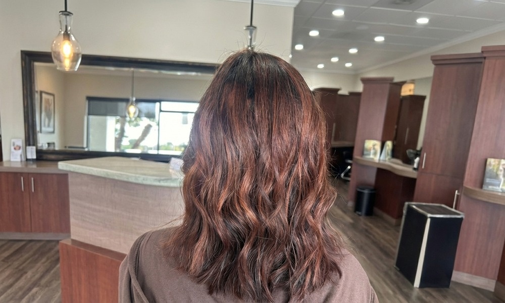 Elegant Hair By Yalda Offers One Haircut, Condition & Blow-Dry w/w/o Highlights or Color Choices (Up to 56% Off)