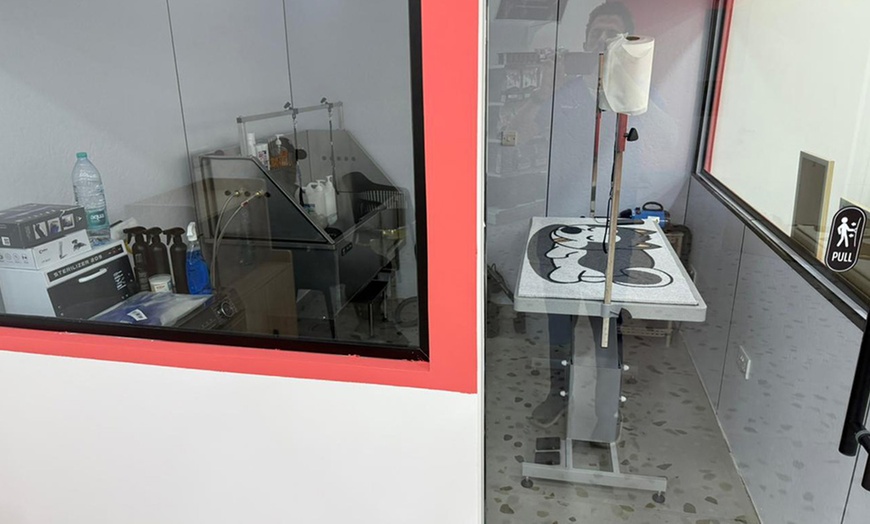 Image 2: Basic Grooming or Full Grooming  Dog/Cat