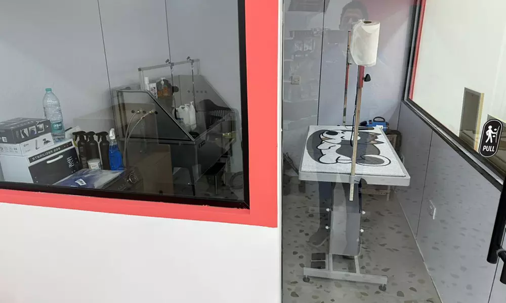 Basic Grooming or Full Grooming  Dog/Cat