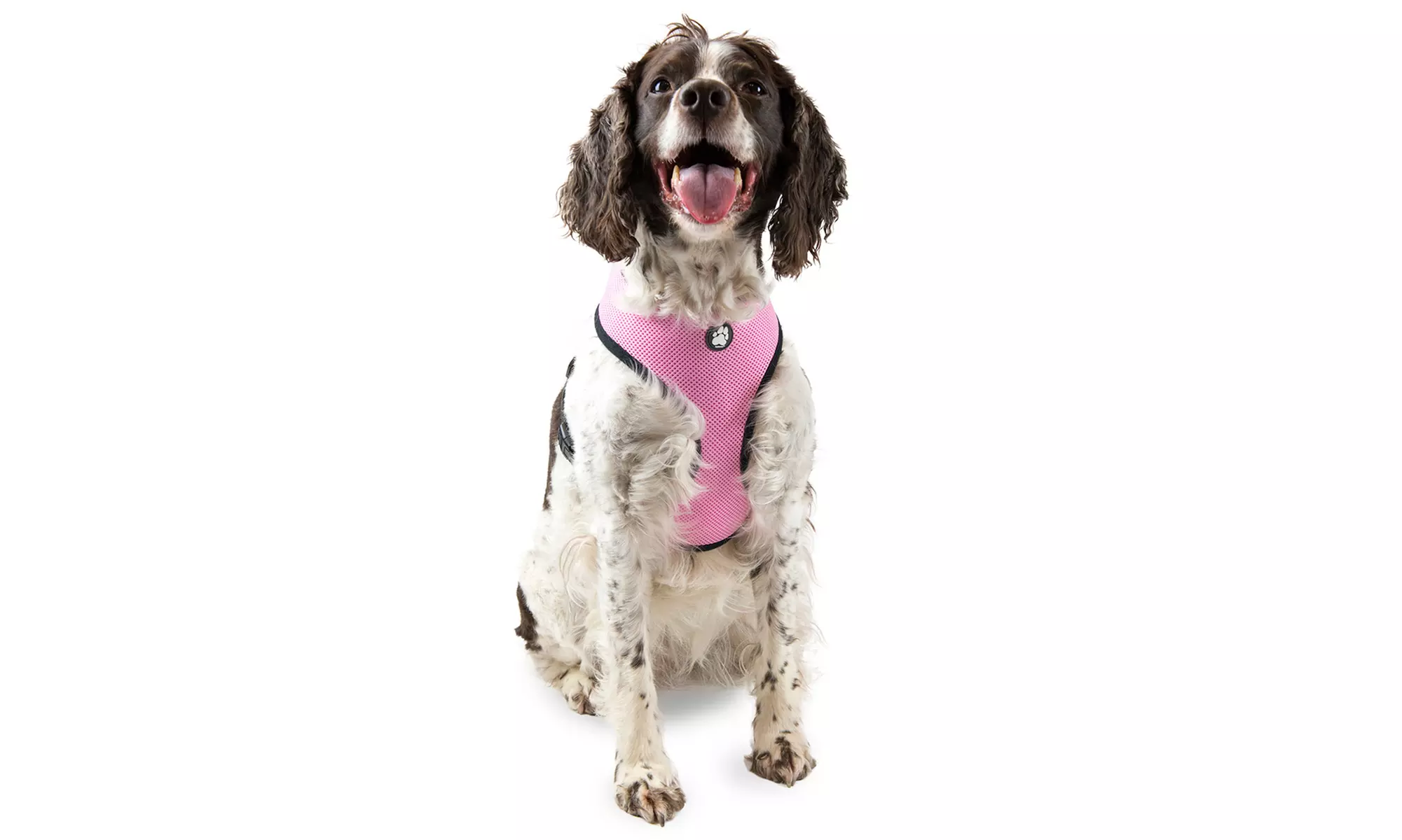 FurHaven Pet Easy Comfort Mesh Dog Harness