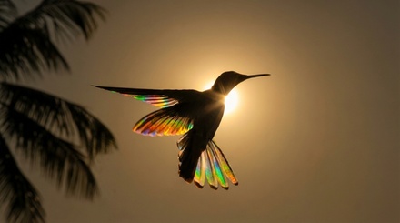 Magic Show (Basic) - Rix Magic