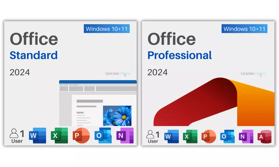 Office 2024 Pro Plus o Standard de por vida para Windows