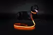 Safety Luminous LED Dog Light Up Collar Night Glow Adjustable Collar with Leash - Second Medium