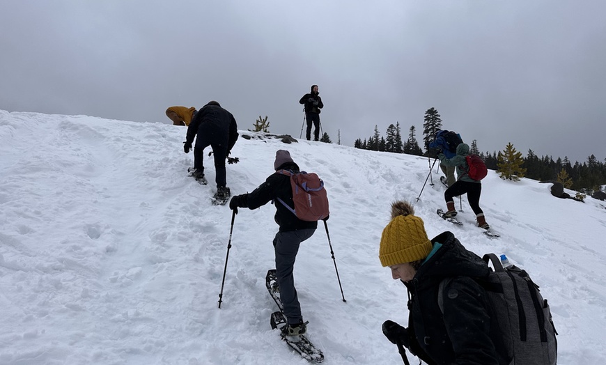 Image 3: Guided Snowshoeing in Mt St Helens or Mt. Hood for 4 Hours