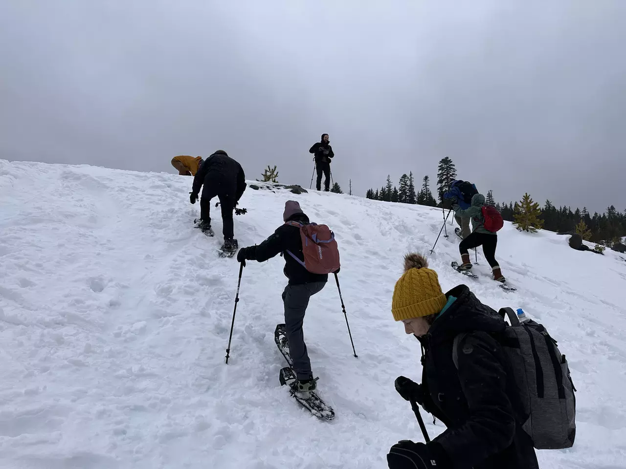 Guided Snowshoeing in Mt St Helens or Mt. Hood for 4 Hours