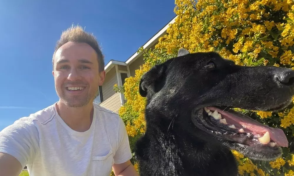 One Hour Dog Walking Packages with 5, 7, or 10 Visit Options