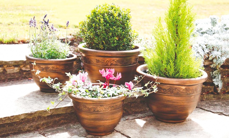 Image 3: Decorative Garden Patio Planters