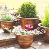Image 3: Decorative Garden Patio Planters