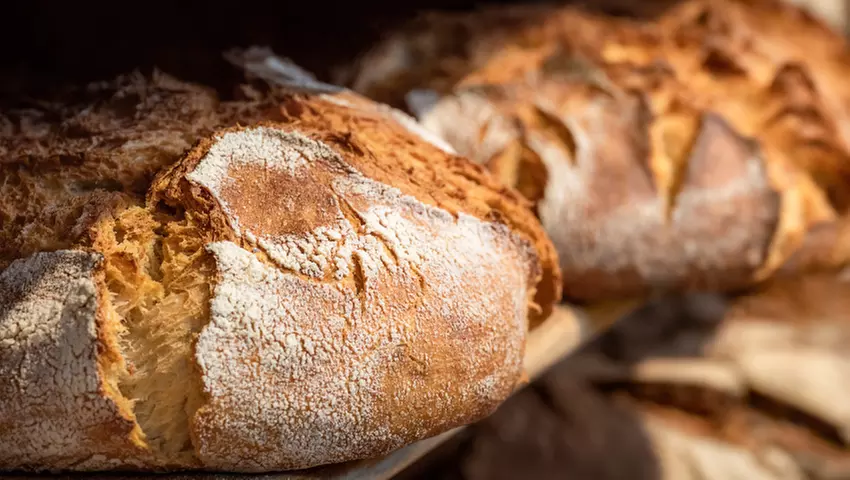 Bread Making Online Course from International Open Academy