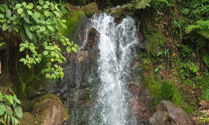 Image 22: Member-Only Deal: Blue River Resort & Hot Springs