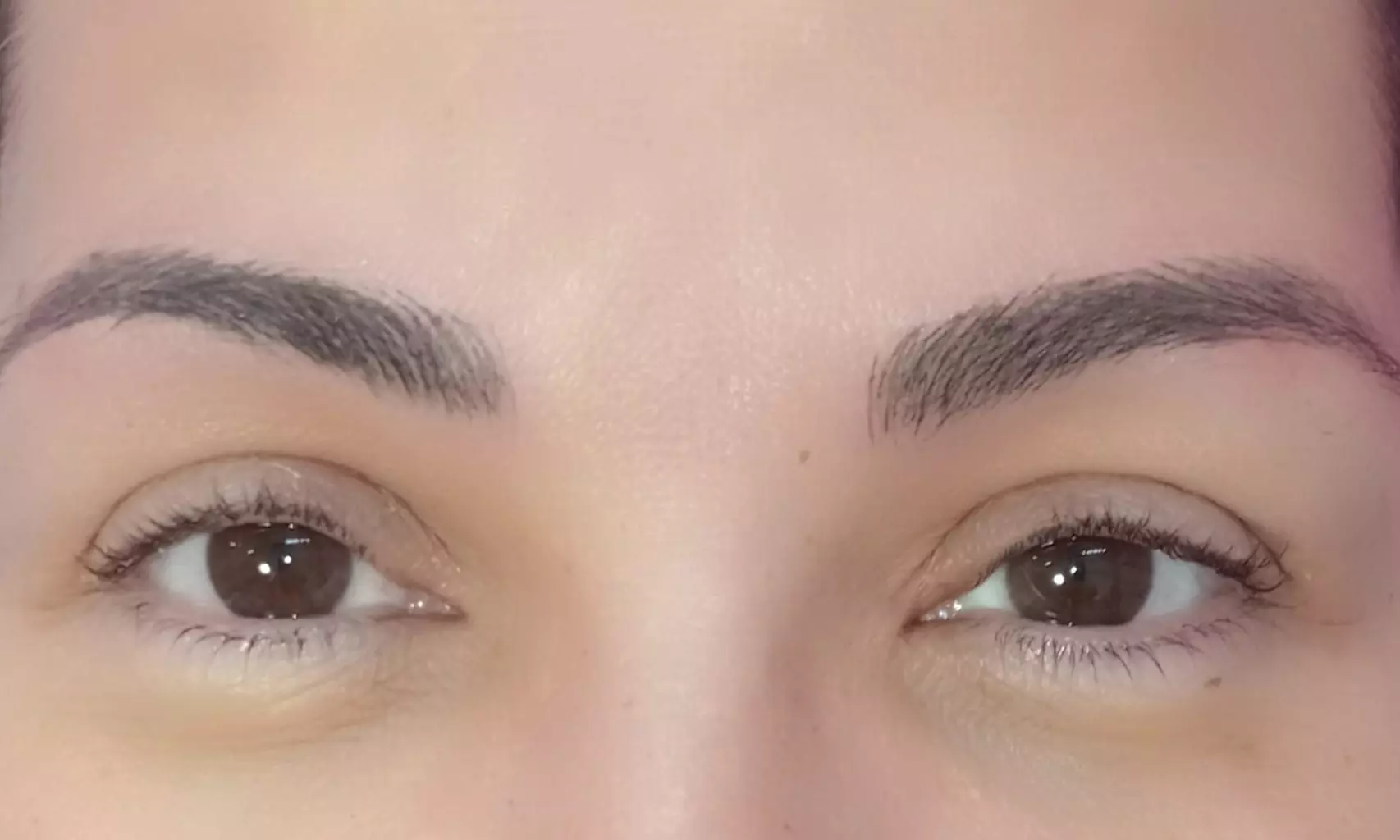 Microblading o microshading con diseño de cejas en Anita La Venezolana